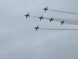 P1010244.jpg