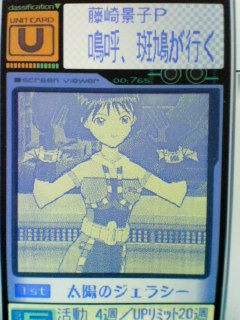 嗚呼、斑鳩が行く・・・